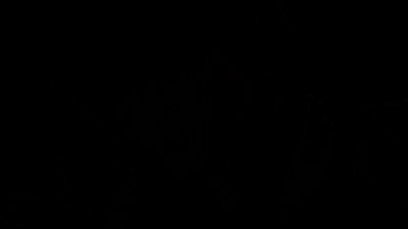 《自由战争：复刻版》视频截图4