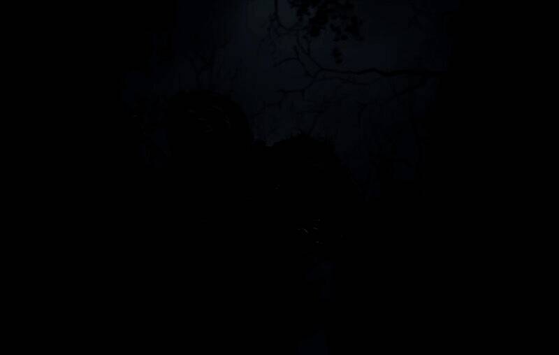 《巫师4》相关宣传图片