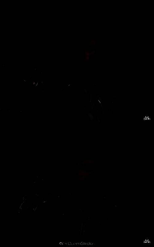 《黑神话：悟空》天命人1/1半身像手办截图1