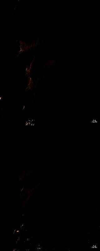 《黑神话：悟空》天命人1/1半身像手办截图5