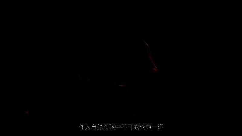 《怪物猎人》相关画面3