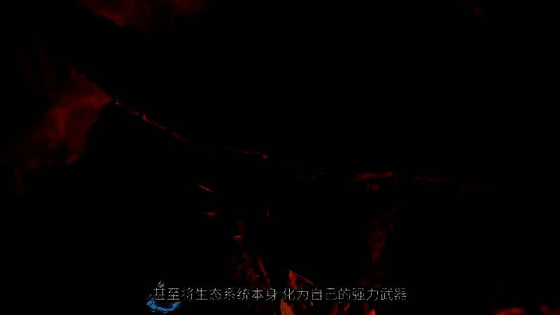 《怪物猎人：荒野》视频截图2