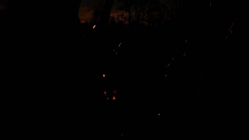 《巫师4》开发团队相关画面