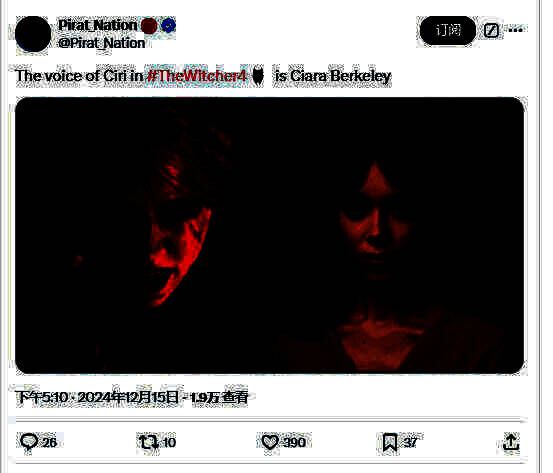 《巫师4》相关画面