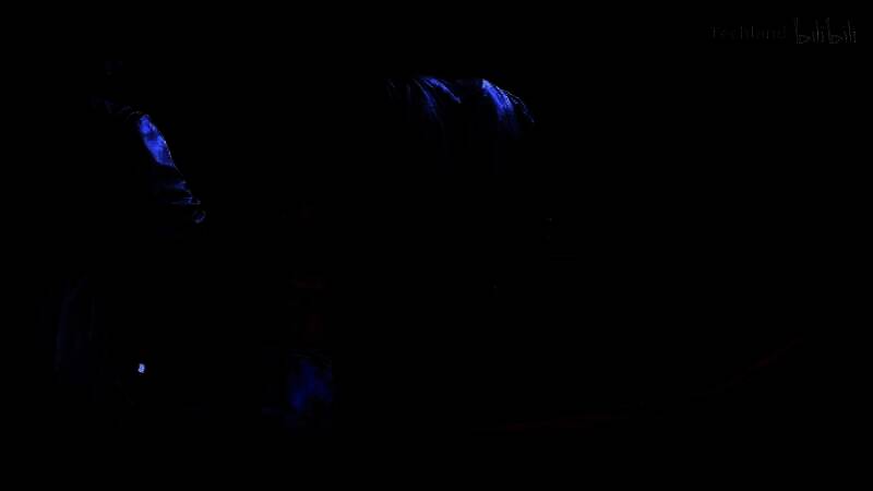 《消逝的光芒：困兽》视频截图3