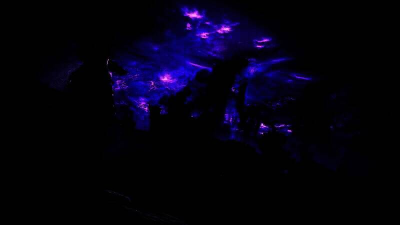 《艾尔登法环：黑夜君临》游戏综合画面