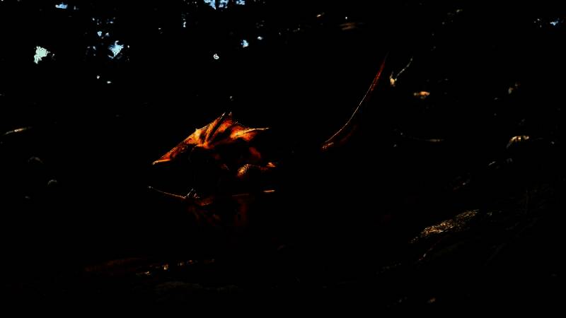 《Turok : Origins》游戏画面2