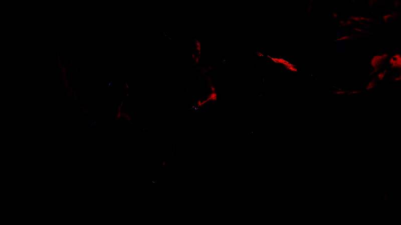 《Turok : Origins》游戏画面5