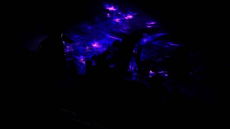 《艾尔登法环：黑夜君临》首批截图2