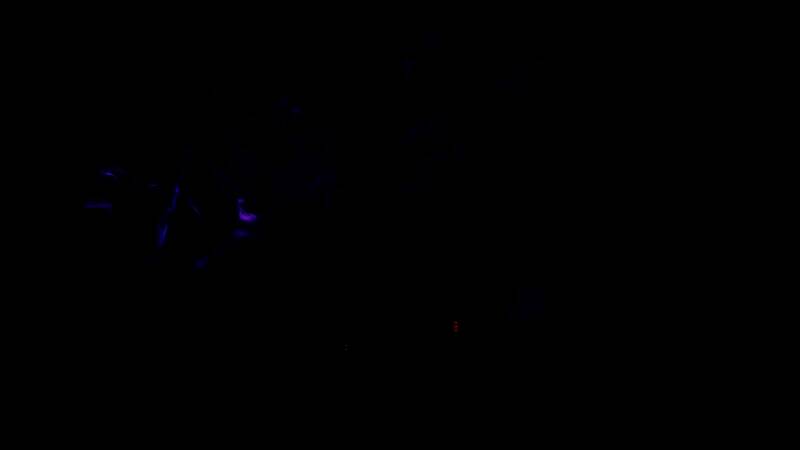 《无主之地4》相关截图6