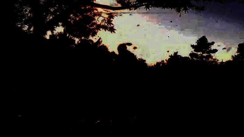 《刺客信条：影》战斗画面9