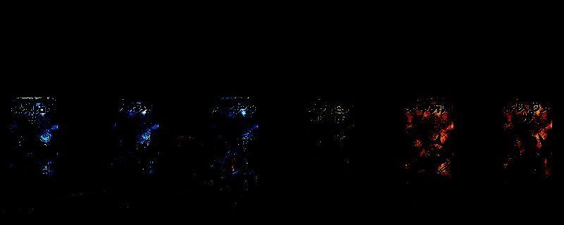 苏丹的游戏相关图片