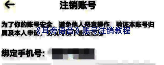 耳旁语音设置页面相关图示