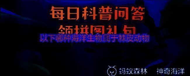 相关海洋生物图片1