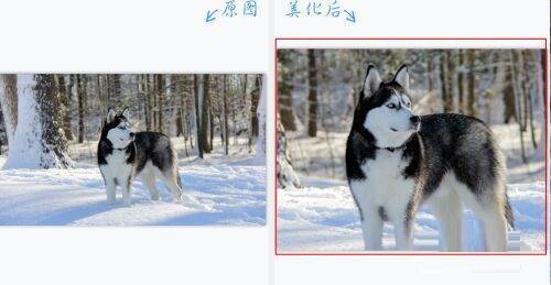 修改后的尺寸展示