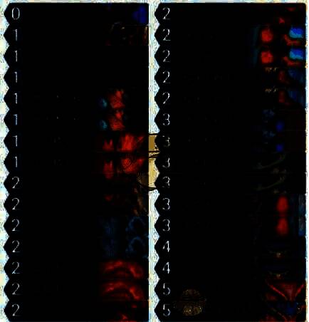 炉石传说茶壶恶魔猎手卡组相关图片