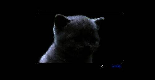 完成图片裁剪后的界面