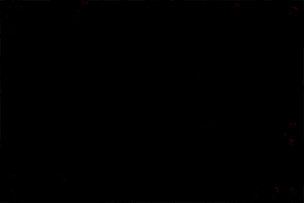 鱼溪村精卫放置点分布图