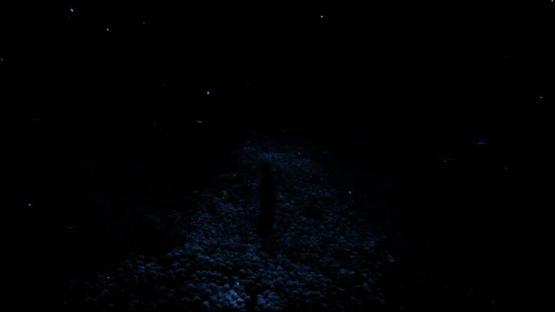 《明末：渊虚之羽》游戏细节