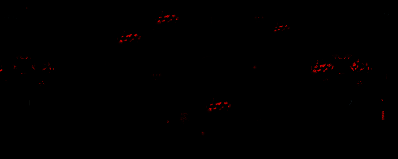 大比斗传说相关图片1