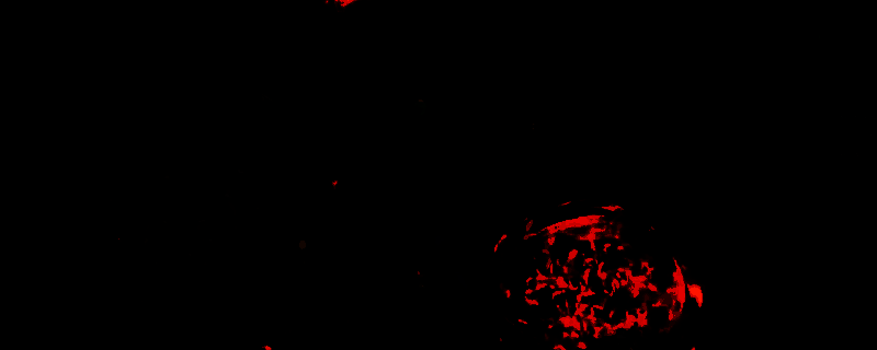 最后纪元全自动牺牲死灵法相关画面