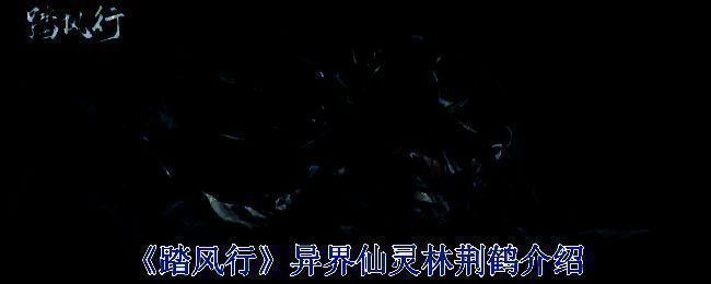 踏风行游戏相关画面