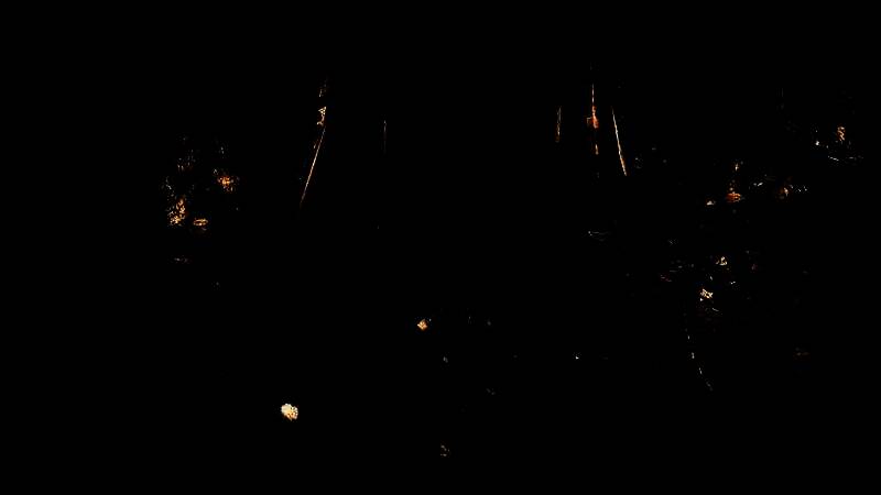 《鬼武者2》高清复刻版视频截图4