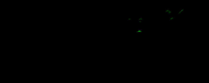 金垦小镇游戏画面相关图片