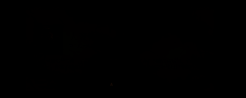 《上古卷轴4：重制版》游戏画面