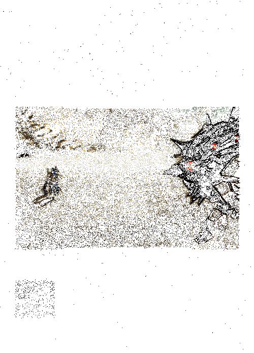 啄噬技能展示动图