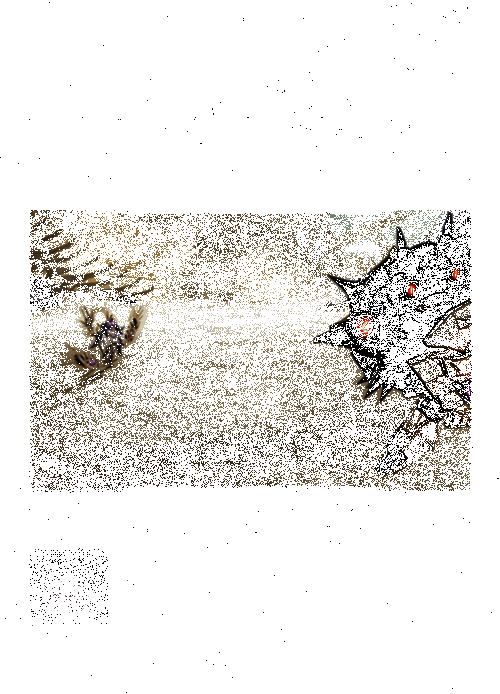 日轮击技能效果动图