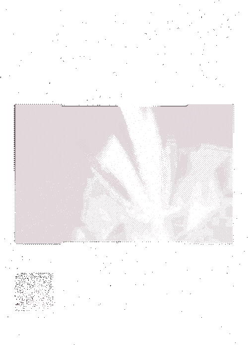 OVERLOAD技能效果动图