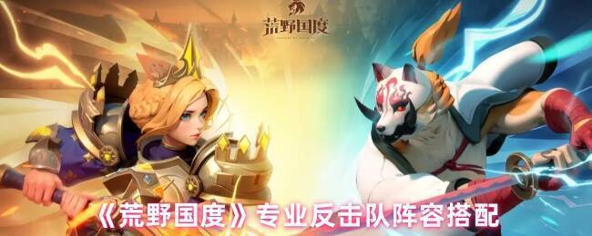 荒野国度专业反击队相关展示图