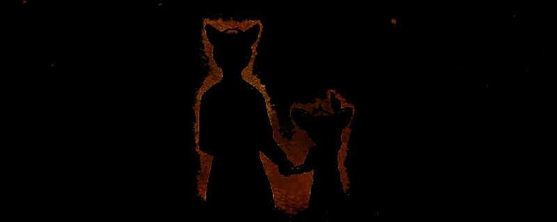 《薛定谔的电话》相关图片1