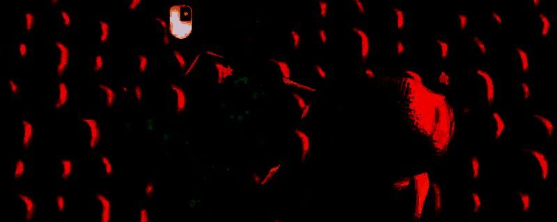 金垦小镇相关画面