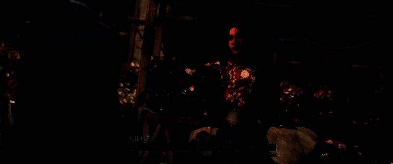 《光与影：33号远征队》社区分享截图8