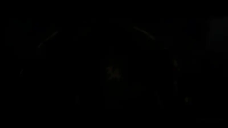 古斯塔夫回应玛埃尔的画面