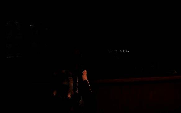 在深草旅店找商人购买洋葱种子画面