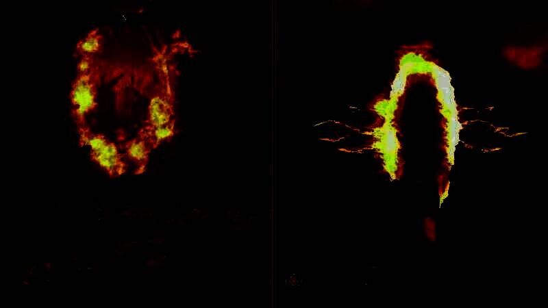 《上古卷轴4：湮灭重制版》与原版画面对比图20