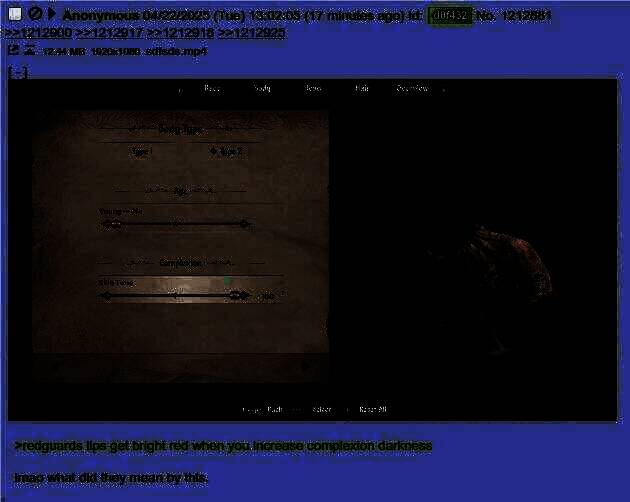 《上古卷轴4:湮灭原版》画面