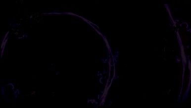 超时空跑跑风吟相关图片4