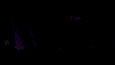 超时空跑跑风吟相关图片5