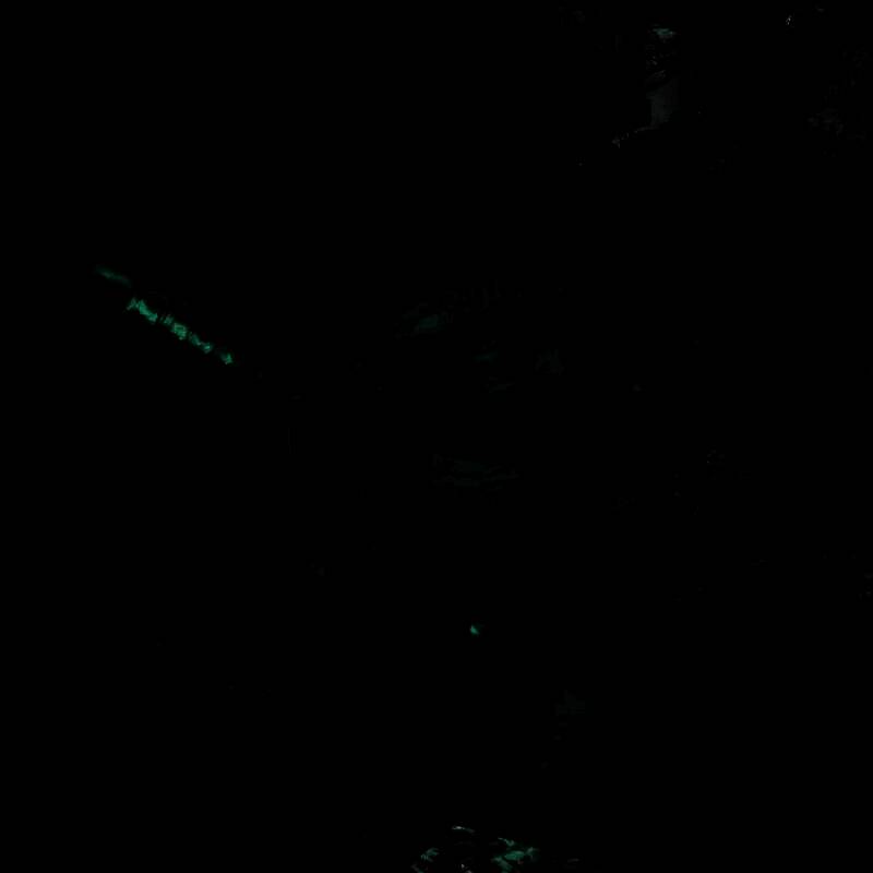 《明末：渊虚之羽》视频画面图片5