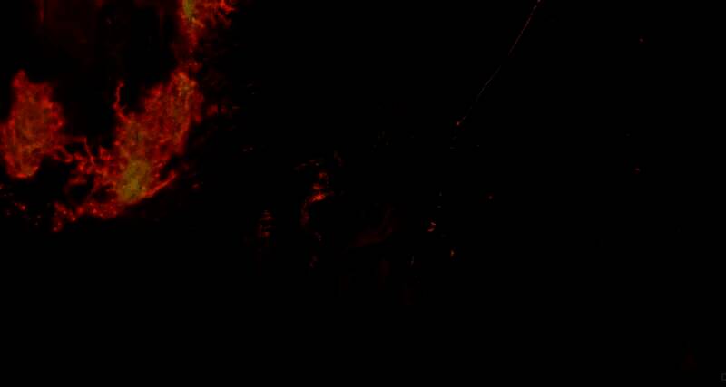 直播中《上古卷轴4:重制版》精彩画面7