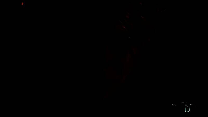 《巫师4》相关图片