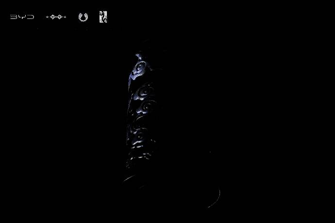 唐L联名车型外观图3