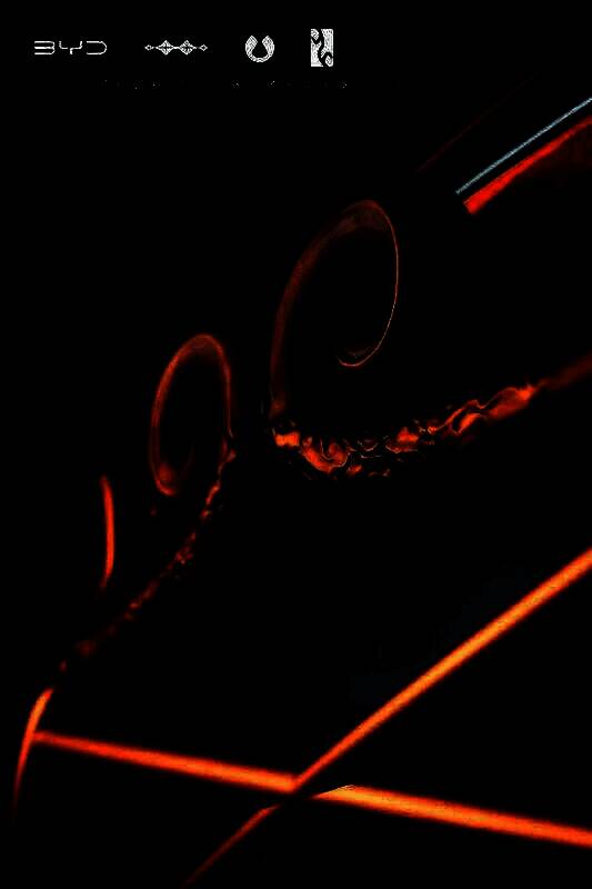 唐L联名车型外观图5