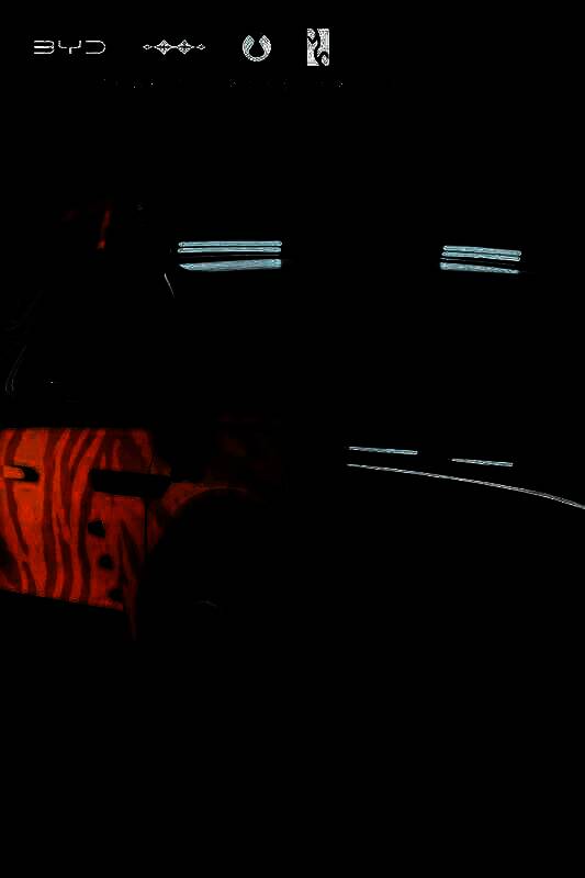 唐L联名车型外观图6