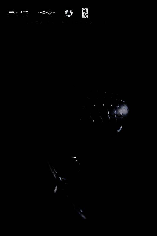 汉L联名车型外观图3