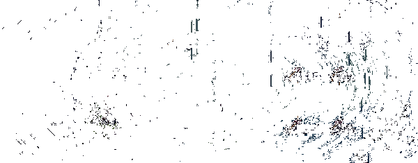 探索危险之地画面